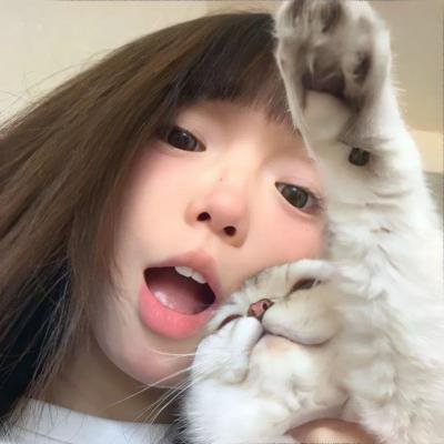 霍莉